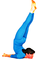 Asana de la Langosta llena pies arriba Asana de la Langosta llena pies arriba