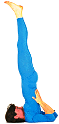 Asana Sarvangasana - el shoulderstand Asana Sarvangasana - el shoulderstand- Cabeza y hombros en el suelo pies hacia arriba en vertical